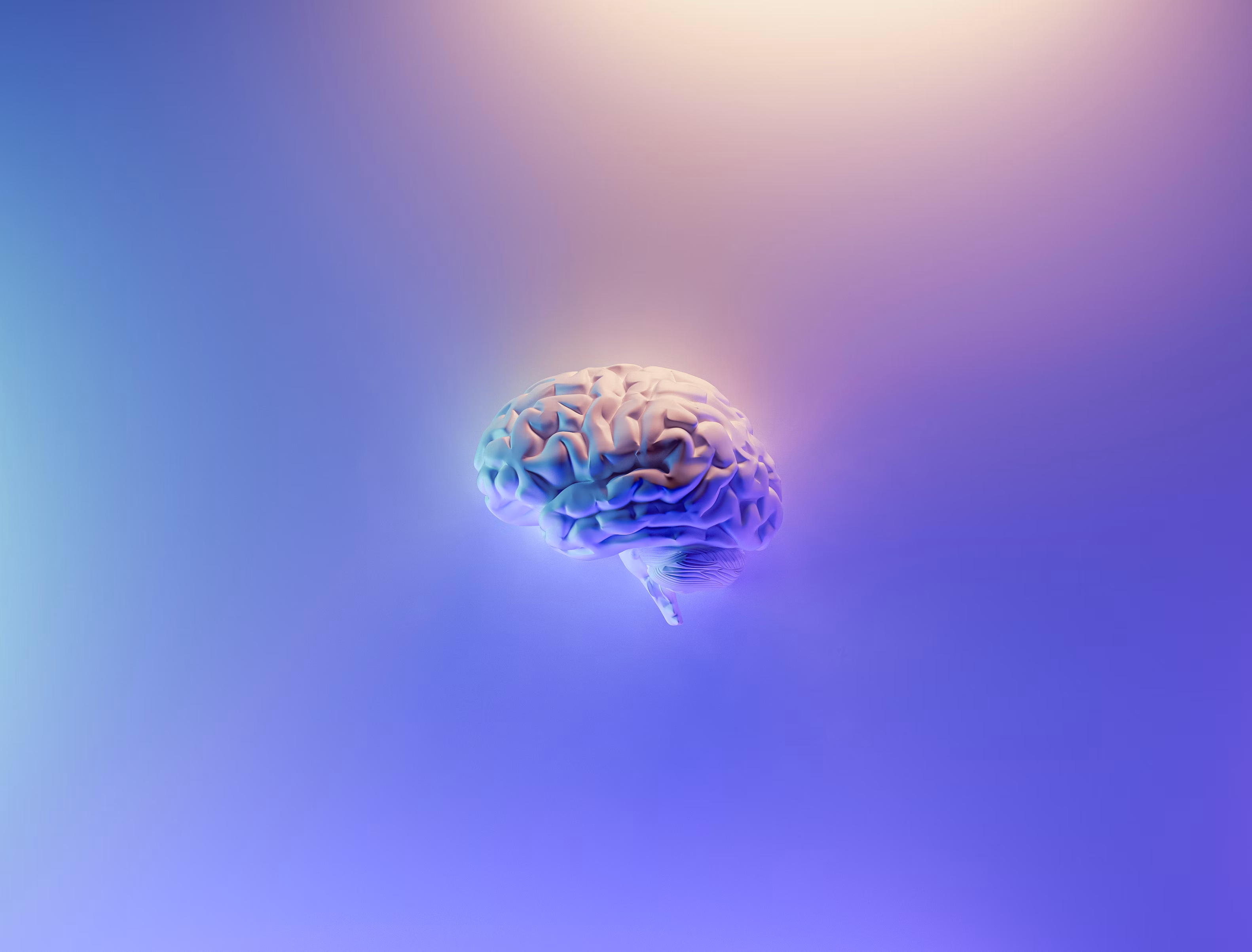 A rendered brain